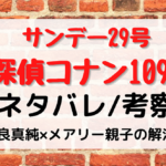 名探偵コナン1096話サンデー29号ネタバレ！感想/口コミあり