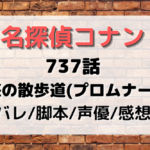 名探偵コナン737話『疑惑の散歩道(プロムナード)』ネタバレや脚本